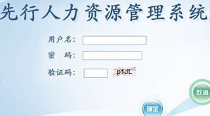 山東先行軟件信息技術(shù) 助力煙臺與山東地區(qū)軟件開發(fā)與網(wǎng)站建設(shè)